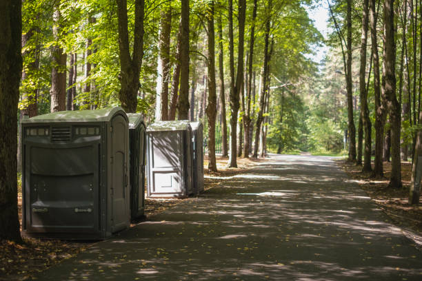 Best Porta potty rental for parties  in Centrevle, IL